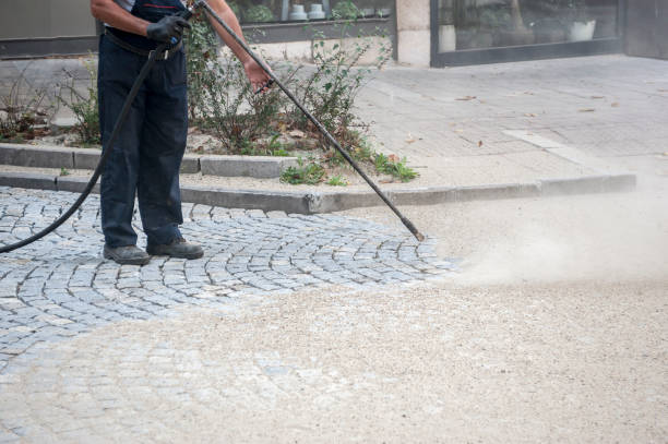 Best Fence Cleaning  in Port Sulphur, LA