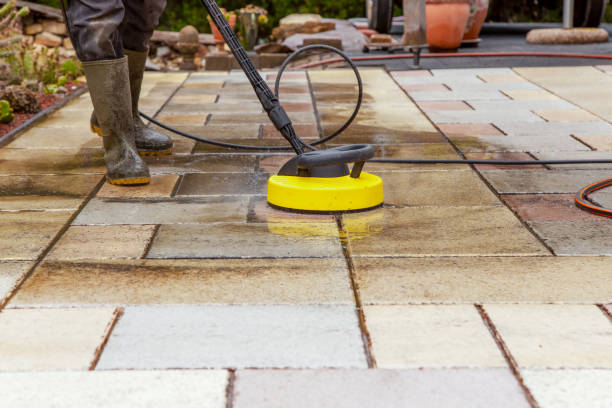Animal Enclosure Cleaning in Port Sulphur, LA
