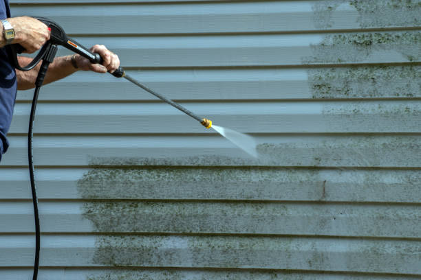 Professional Pressure Washing in Port Sulphur, LA